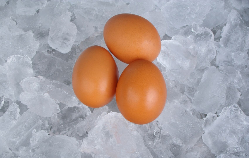 Are Frozen Donor Egg Cycles The Best Option?