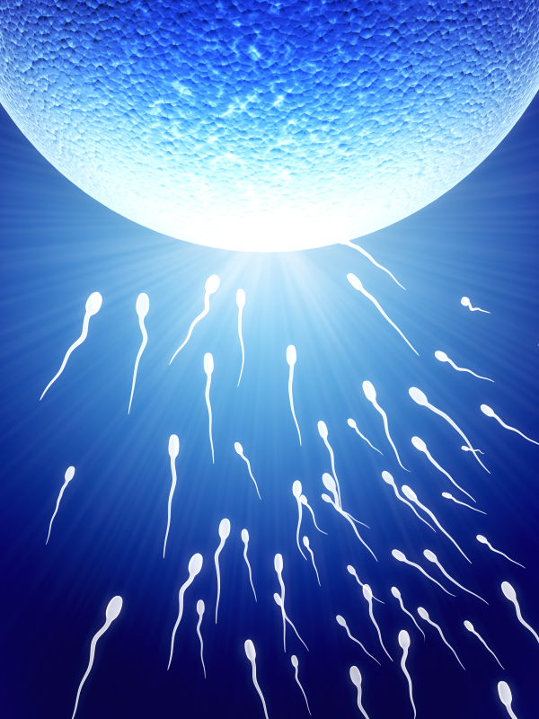 We Now Find Sperm Donors!