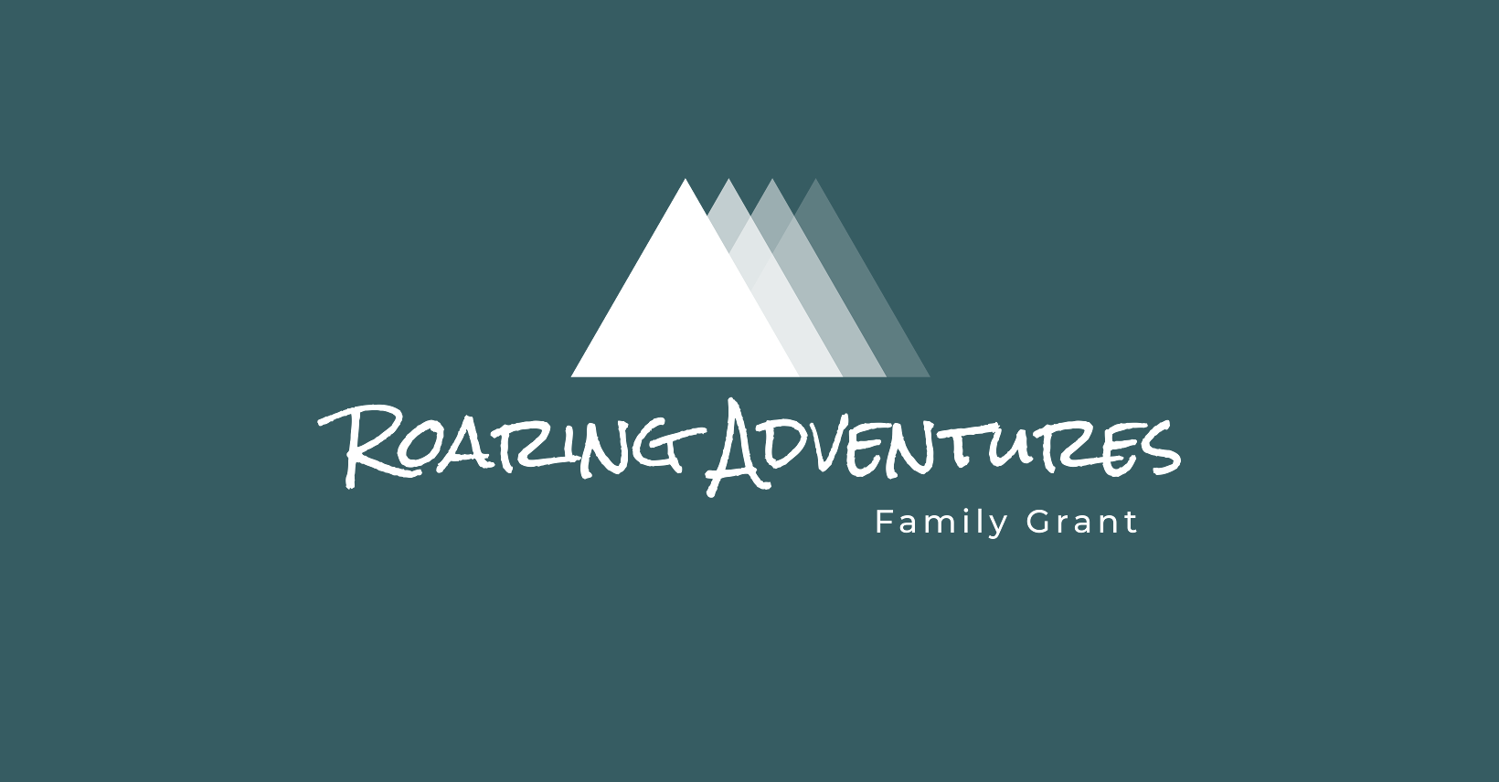 Partner highlight: Roaring Adventures